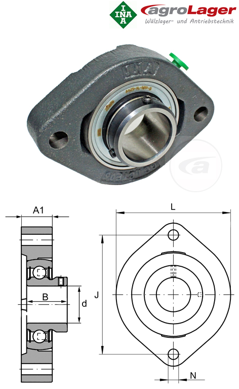 FLCTEY25