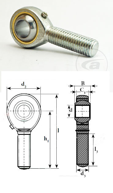 TSML12