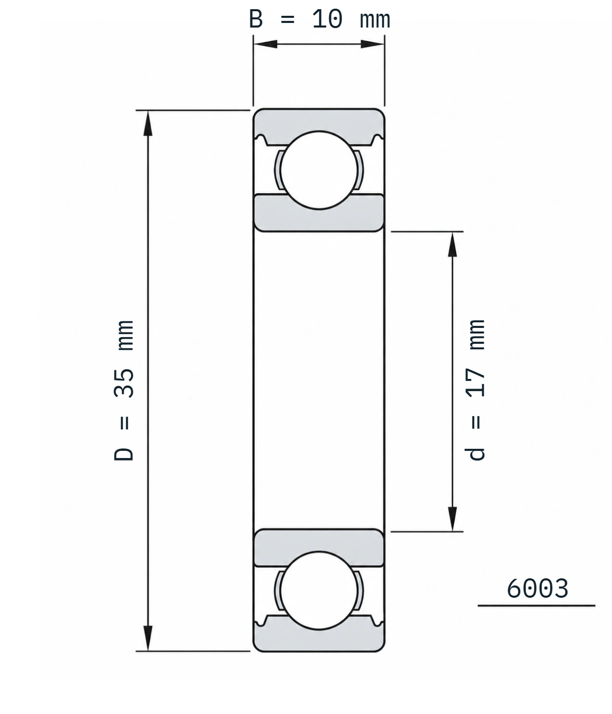 6003