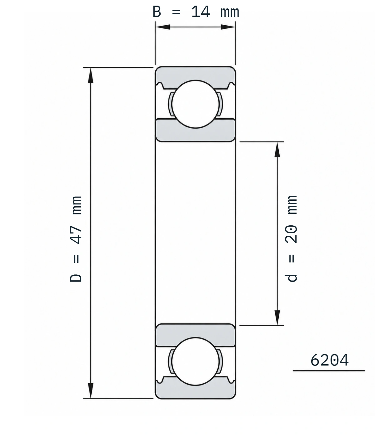 6204